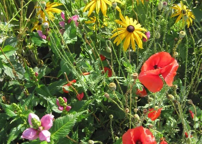 Greber アパート アンデルスブーフ